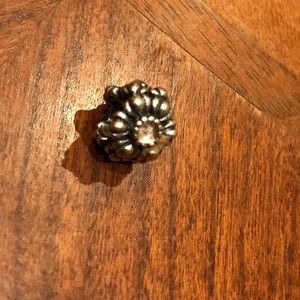 Pandora charm